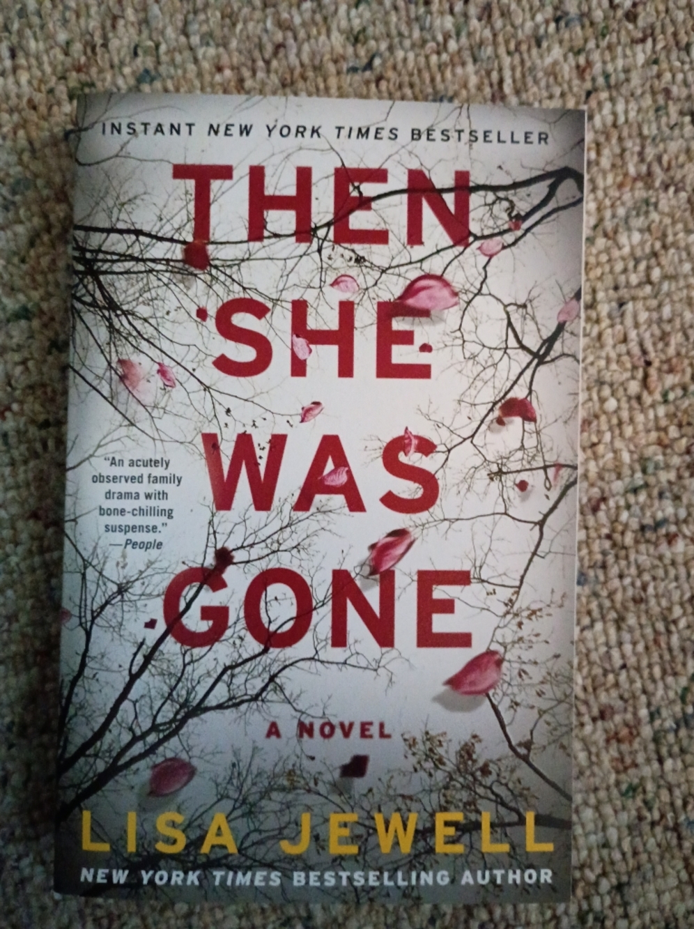 Then She Was Gone Novel